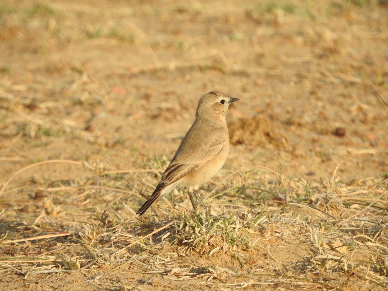 Tourists enjoying Desert National Park